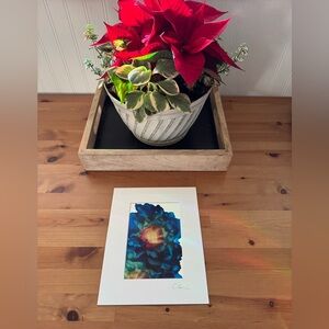 New Original Signed Artwork Alcohol Ink on Paper